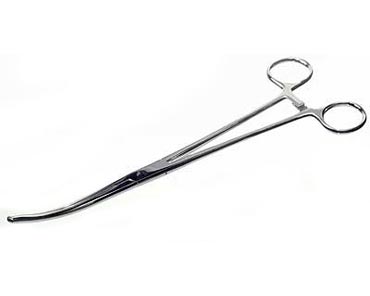 Sona Enterprises® 10 in. Curved Forceps