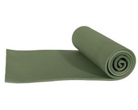 Alps Mountaineering® Foam Sleeping Mat - Green