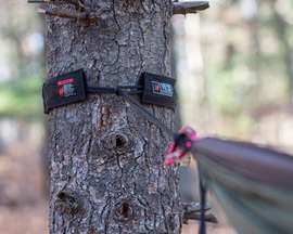 Grand Trunk Tree Slings