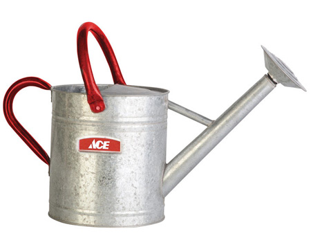 Ace® Galvanized Steel Watering Can - 2 gal.