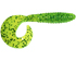 Watermelon seed