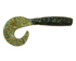 Bluegill