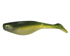 Ss shad