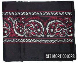 Wyoming Traders® 20 in. Kids' Bandana Style Wild Rags