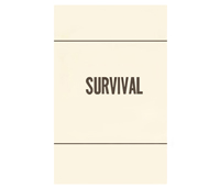 Training Guides & Manuals