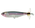 Rainbow Trout