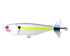 Silver Shad