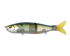 Silver Shad