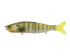 Bluegill