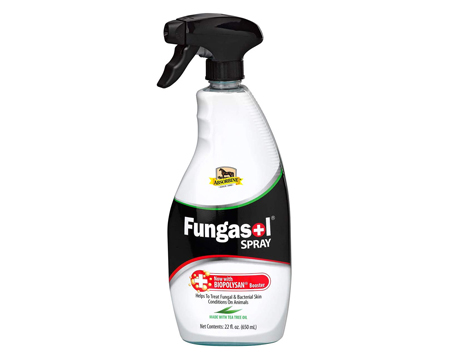 Absorbine® Fungasol Anti-Fungal & Anti-Bacterial Spray - 22 oz.