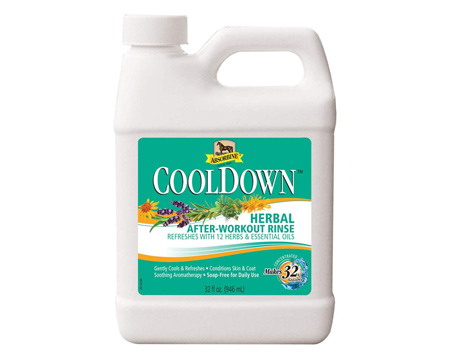 Absorbine® Cooldown Herbal After Workout Rinse - 1 quart