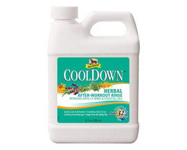 Absorbine® Cooldown™ Herbal After Workout Rinse - 1 quart