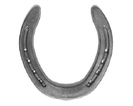 EZ Hind Horseshoe - Pair