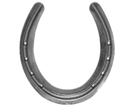 Polo Horseshoes