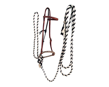 Smith & Edwards Complete Hackamore with Headstall
