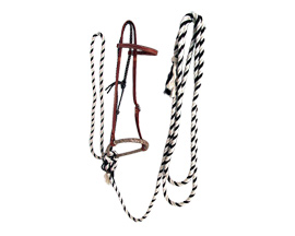 Smith & Edwards Complete Hackamore with Headstall
