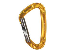 Cypher Echo Straight Gate Carabiner