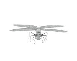 Metal Earth® Dragonfly