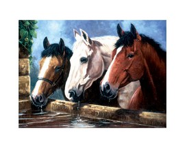 Royal & Langnickel® Painting by Number Large Junior Kit - Three of a Kind