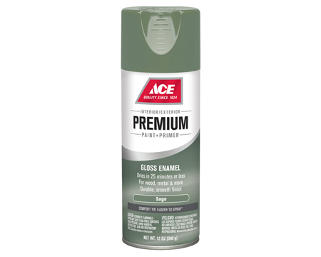 Ace Premium Gloss Enamel Spray Paint