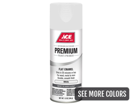 Ace Premium Flat Enamel Spray Paint