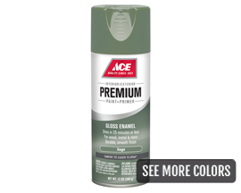 Ace Premium Gloss Enamel Spray Paint