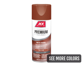 Ace Premium Matte Enamel Spray Paint
