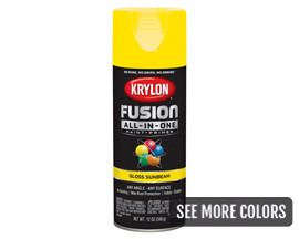 Krylon® All-in-One Fusion Gloss Spray Paint