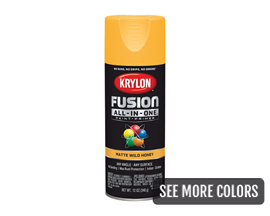 Krylon® All-in-One Fusion Matte Spray Paint