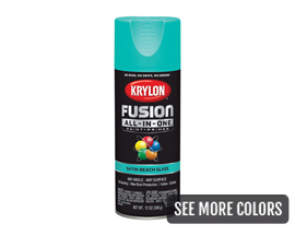 Krylon® All-in-One Fusion Satin Spray Paint