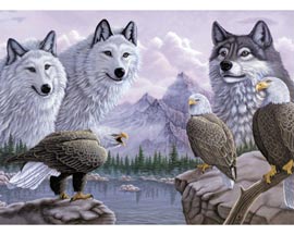 Royal & Langnickel® Painting by Number™ Large Adult Kit - Wolves & Eagles