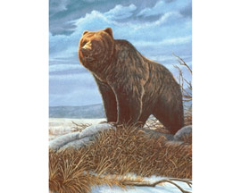 Royal & Langnickel® Painting by Number Small Junior Kit - Grizzly Bear