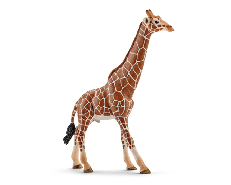 Schleich Male Giraffe