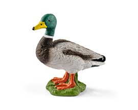 Schleich® Drake